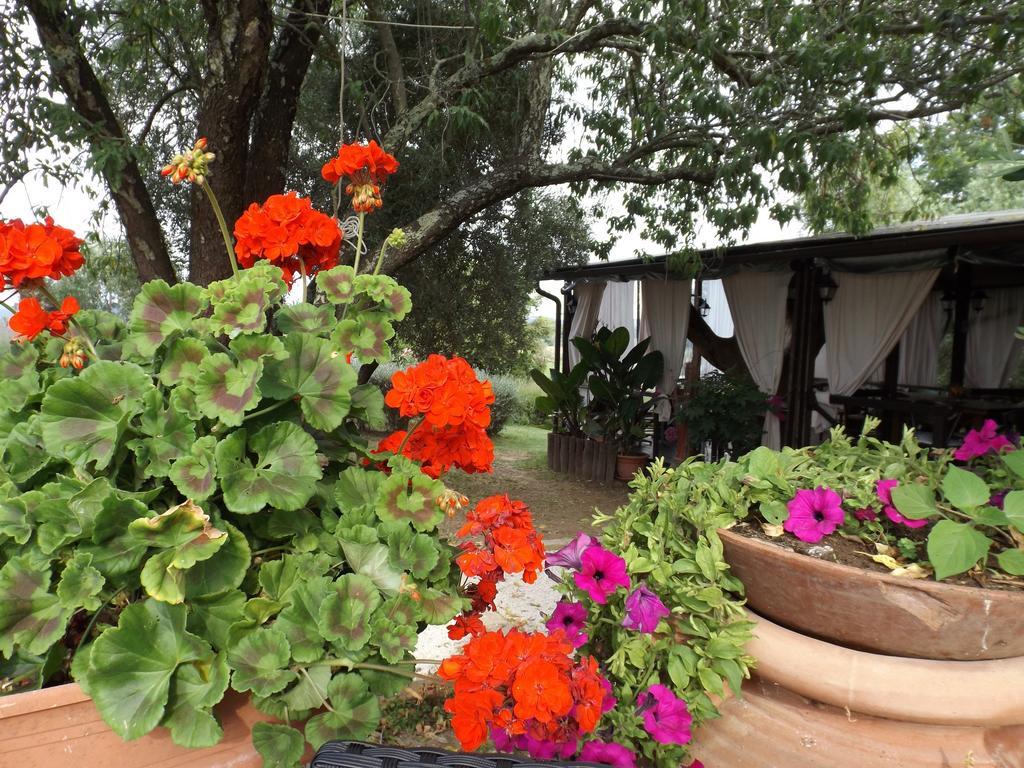Agriturismo San Giacomo Pitigliano Room photo
